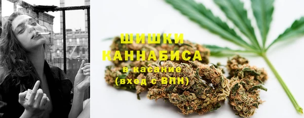 соль ск Волосово