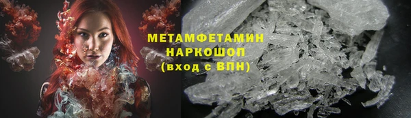 молекула духа Вяземский