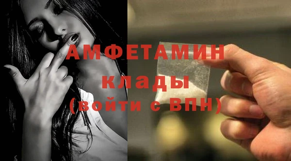 молекула духа Вяземский