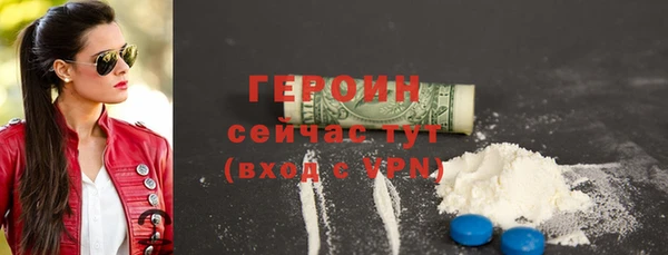 молекула духа Вяземский