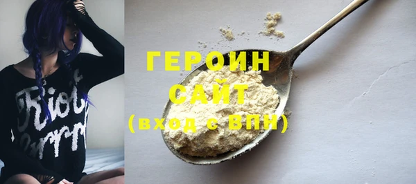 молекула духа Вяземский
