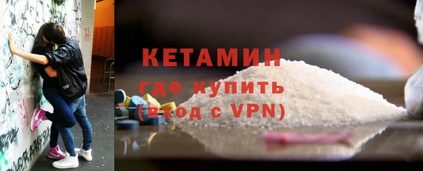 молекула духа Вяземский