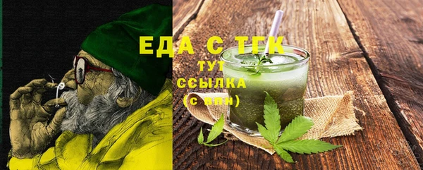 молекула духа Вяземский