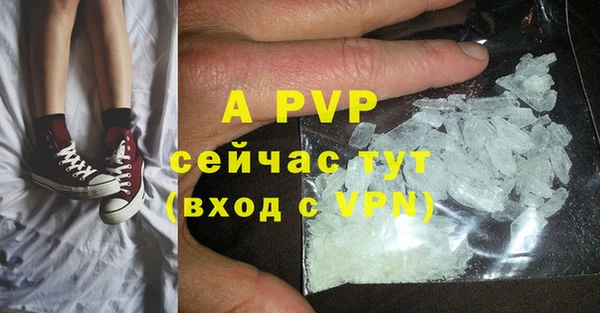 молекула духа Вяземский