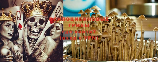 молекула духа Вяземский