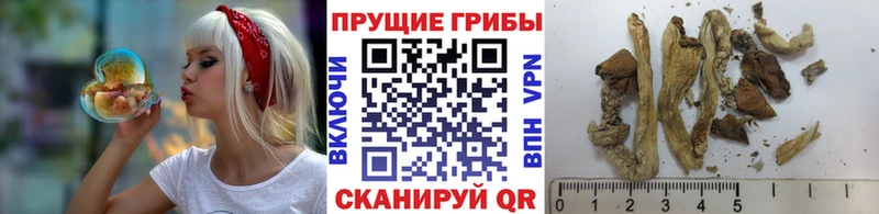Галлюциногенные грибы Magic Shrooms  купить наркотик  Якутск 