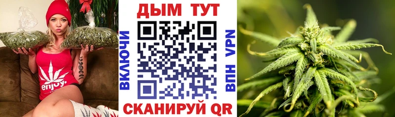 Конопля гибрид  Якутск 